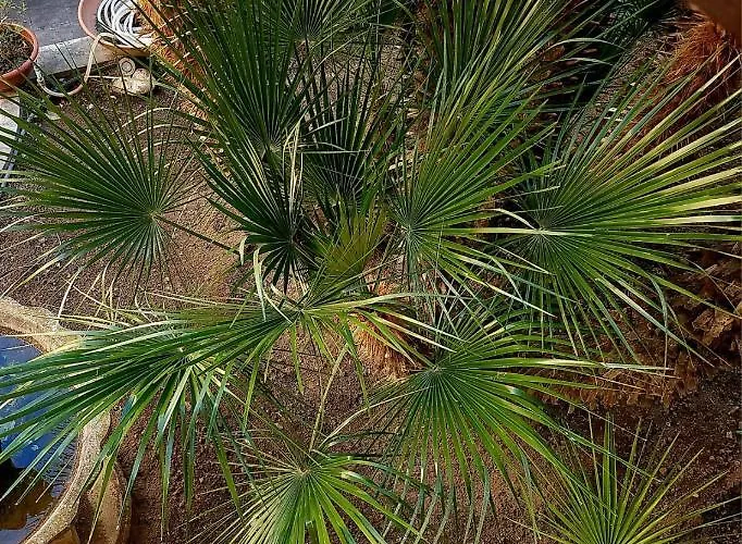 Gasthof Maison Olimpo Trani