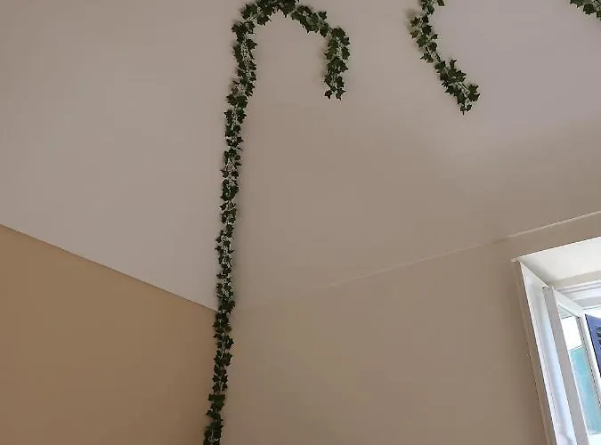 Maison Olimpo 3* Trani