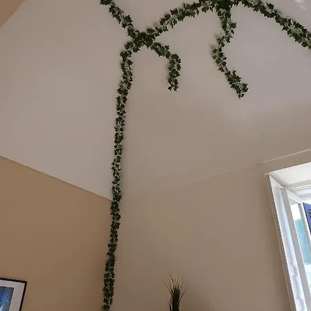 Maison Olimpo 3* 特拉尼