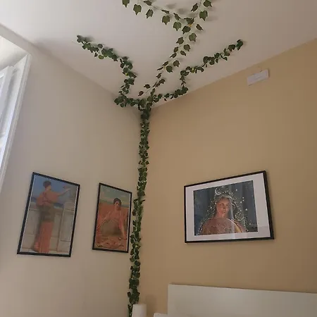 Gasthuis Maison Olimpo