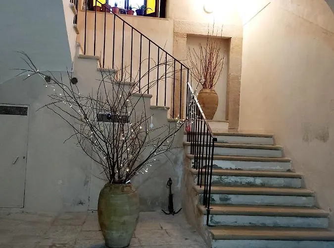 Maison Olimpo טרני